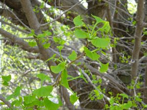 DSC08490_R