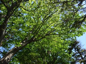 DSC08623_R