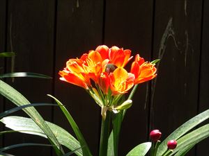 DSC08626_R