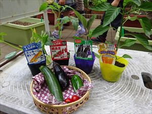 DSC08891_R