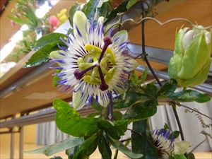 DSC09224_R