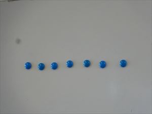 DSC09831_R