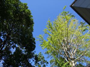DSC00089_R