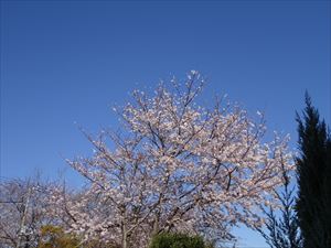 DSC02096_R