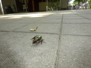 DSC03094_R