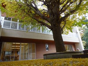 DSC03734_R