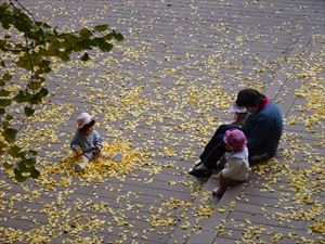 DSC03739_R